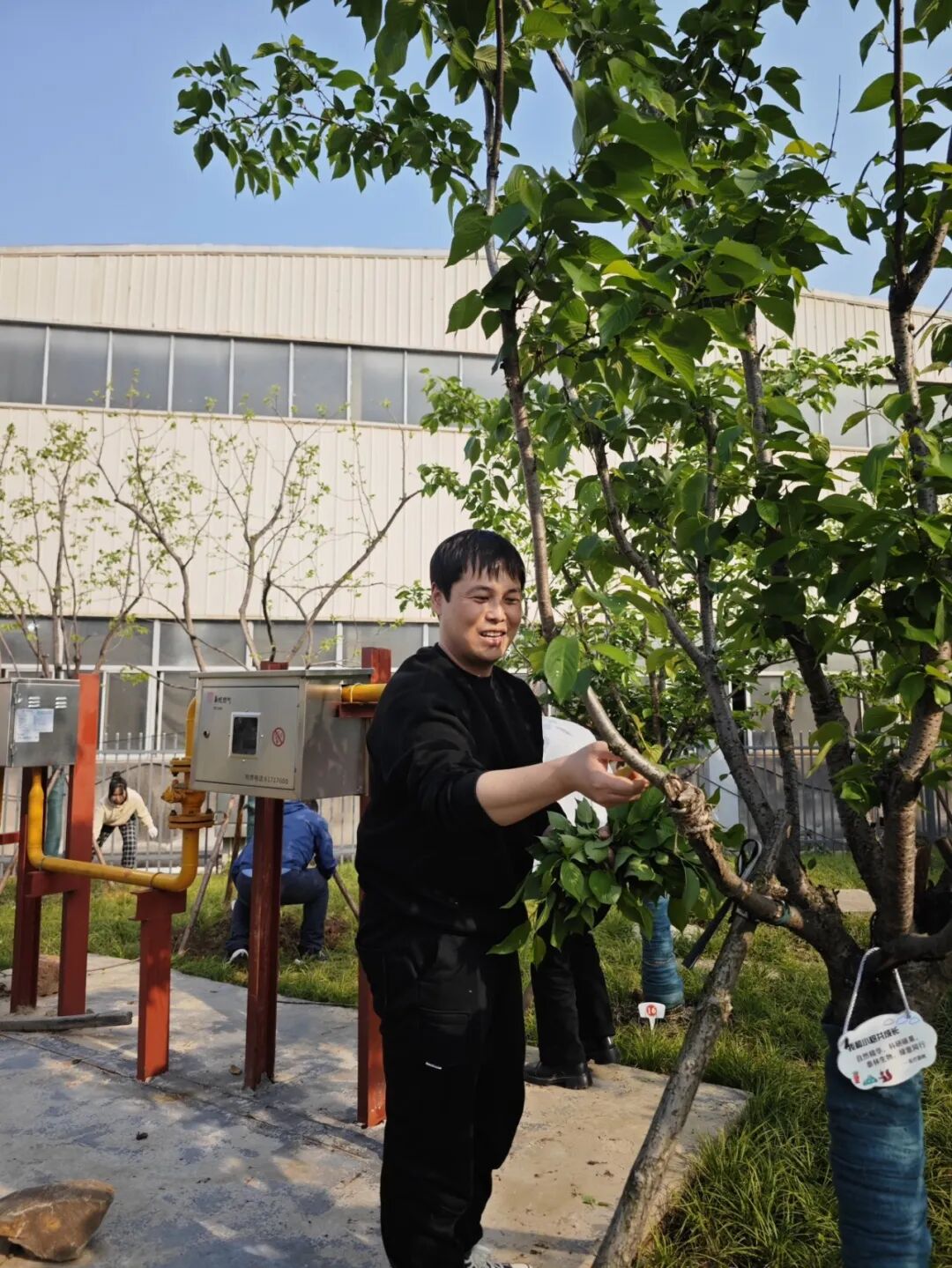 1768809234329804CqEw.jpg 3.jpg